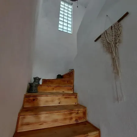 Vinograd Kalkan * كاس