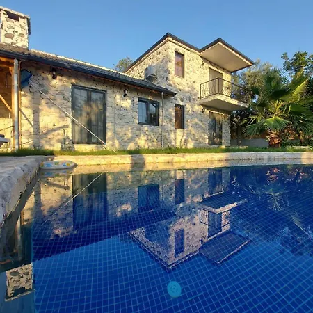Vinograd Kalkan كاس