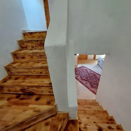 Vinograd Kalkan * كاس