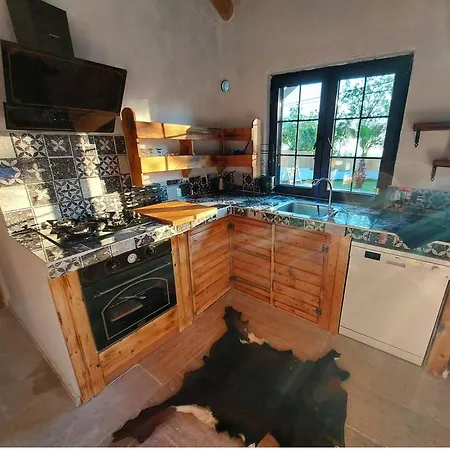 Vinograd Kalkan *
